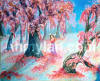 Cherry Blossom